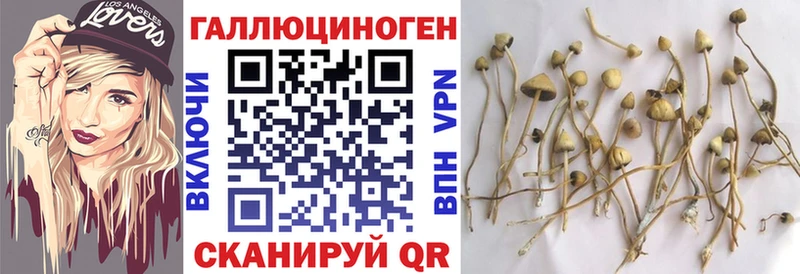 кракен ССЫЛКА  Новая Усмань  Псилоцибиновые грибы прущие грибы 